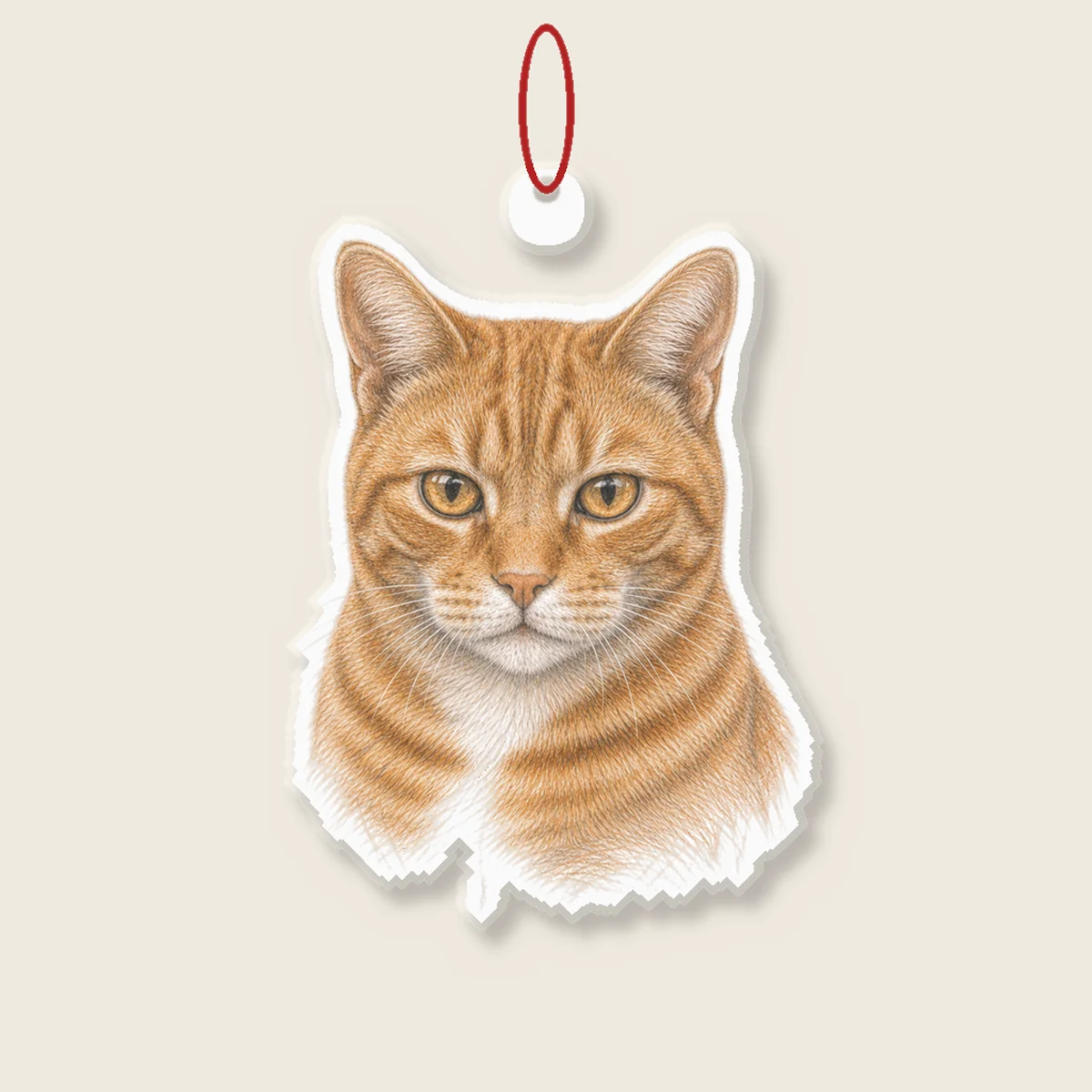 Pet-Shaped Ornament